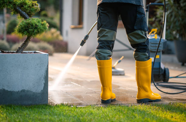 Best Pressure Washing Brick  in Arlington, TN